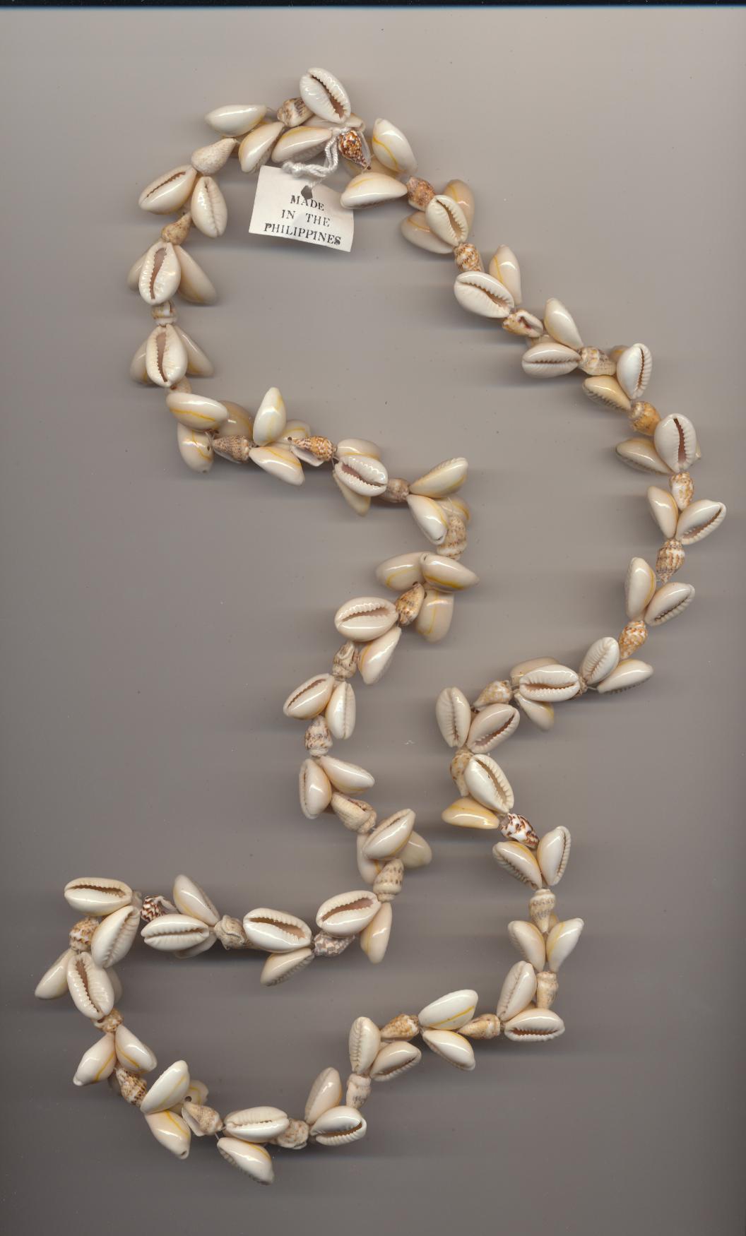 Necklace strung of ring cowries and small conus shells, Philippines, length 35'' 88cm.